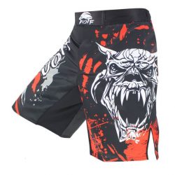 MMA Shorts